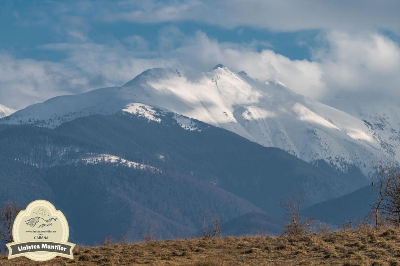Linistea Muntilor Chalet Felsőporumbák Kültér fotó