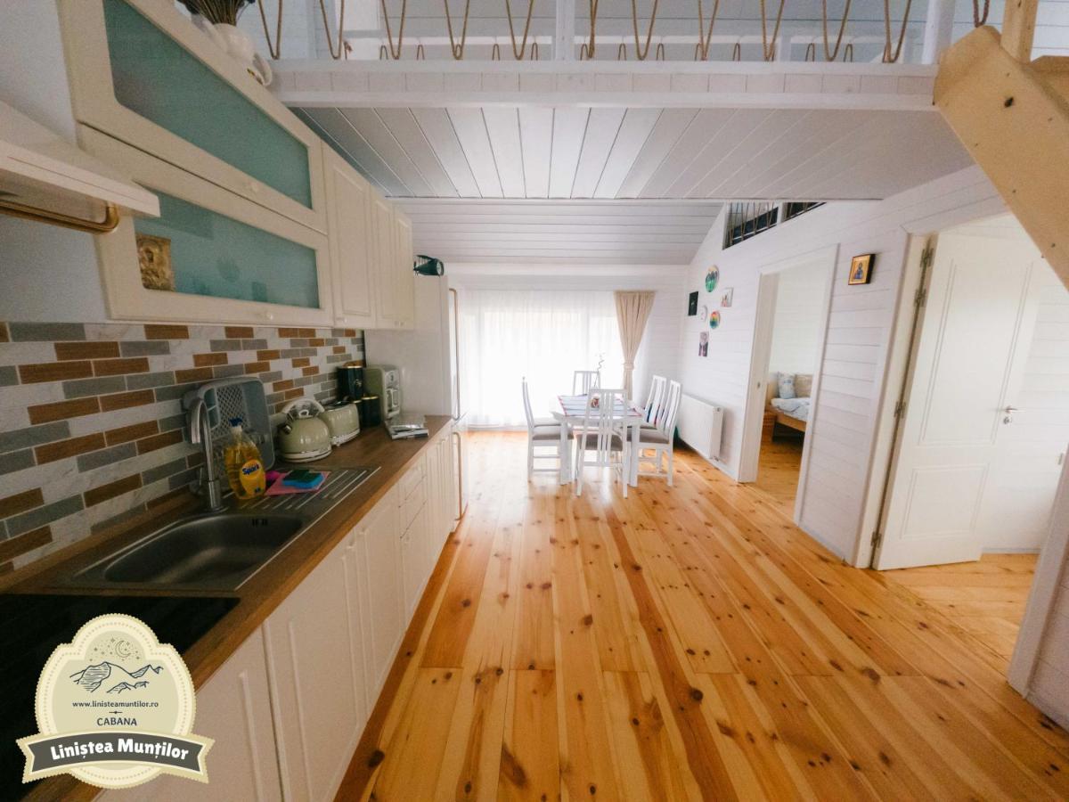 Linistea Muntilor Chalet Felsőporumbák Kültér fotó