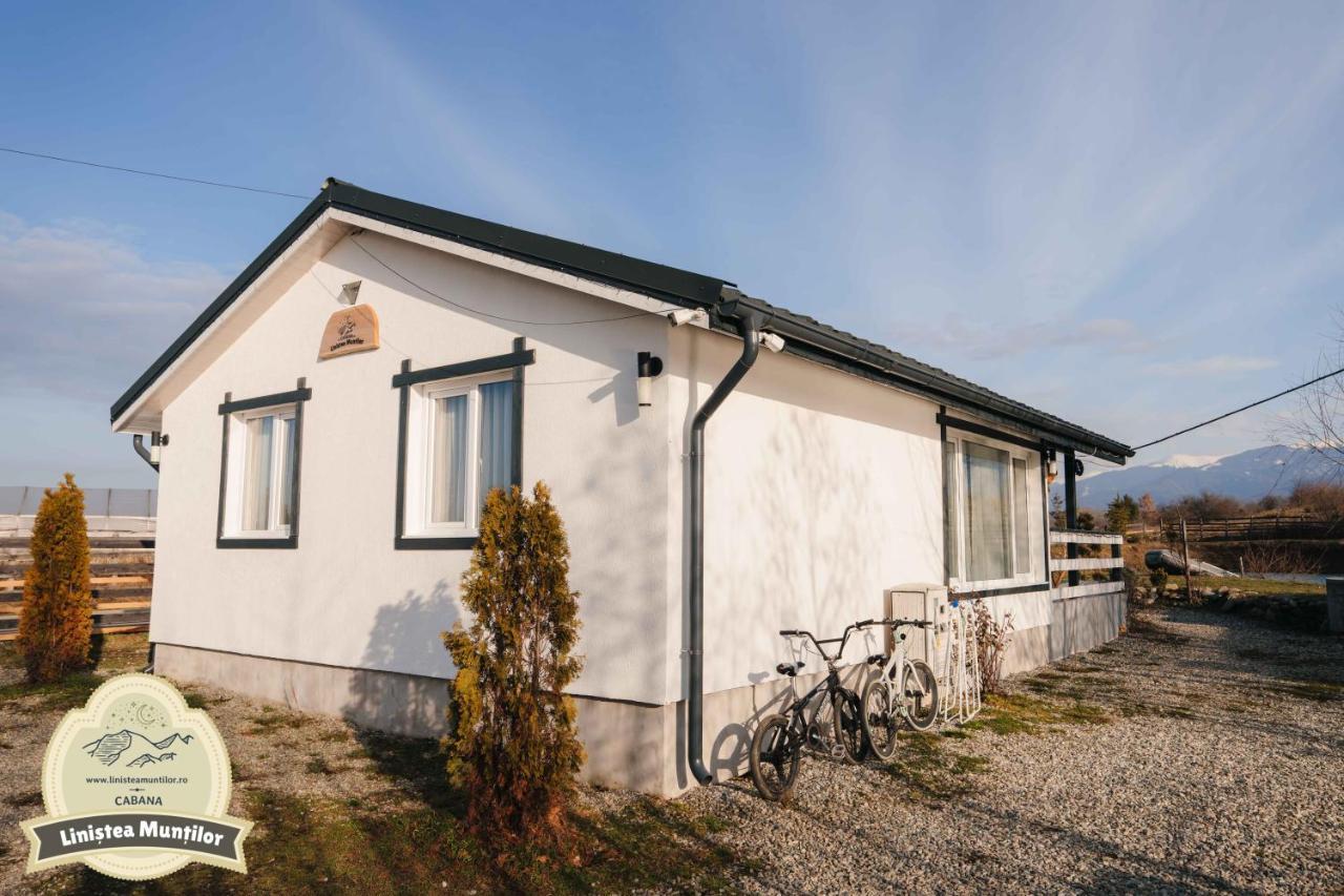 Linistea Muntilor Chalet Felsőporumbák Kültér fotó