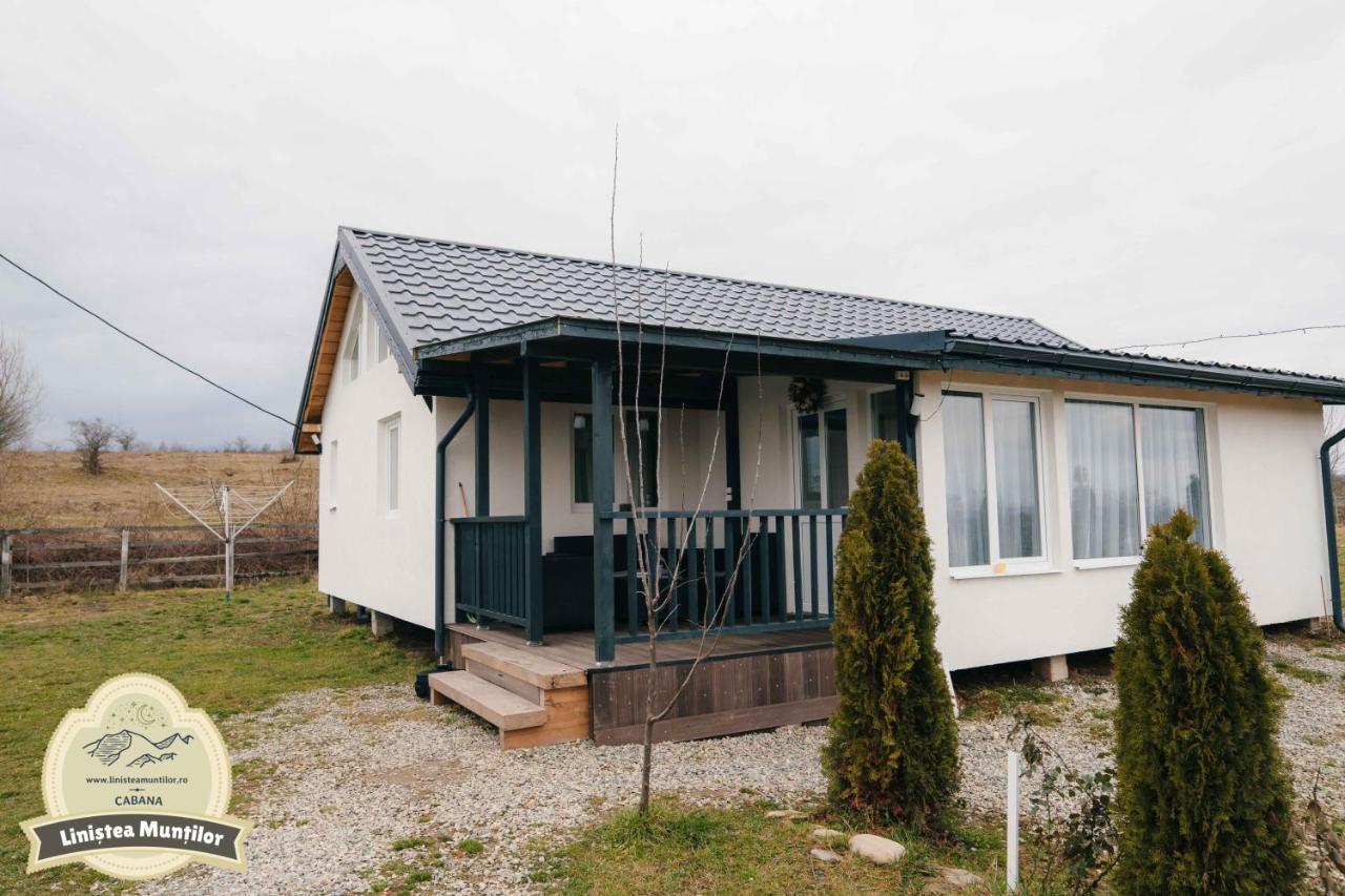 Linistea Muntilor Chalet Felsőporumbák Kültér fotó