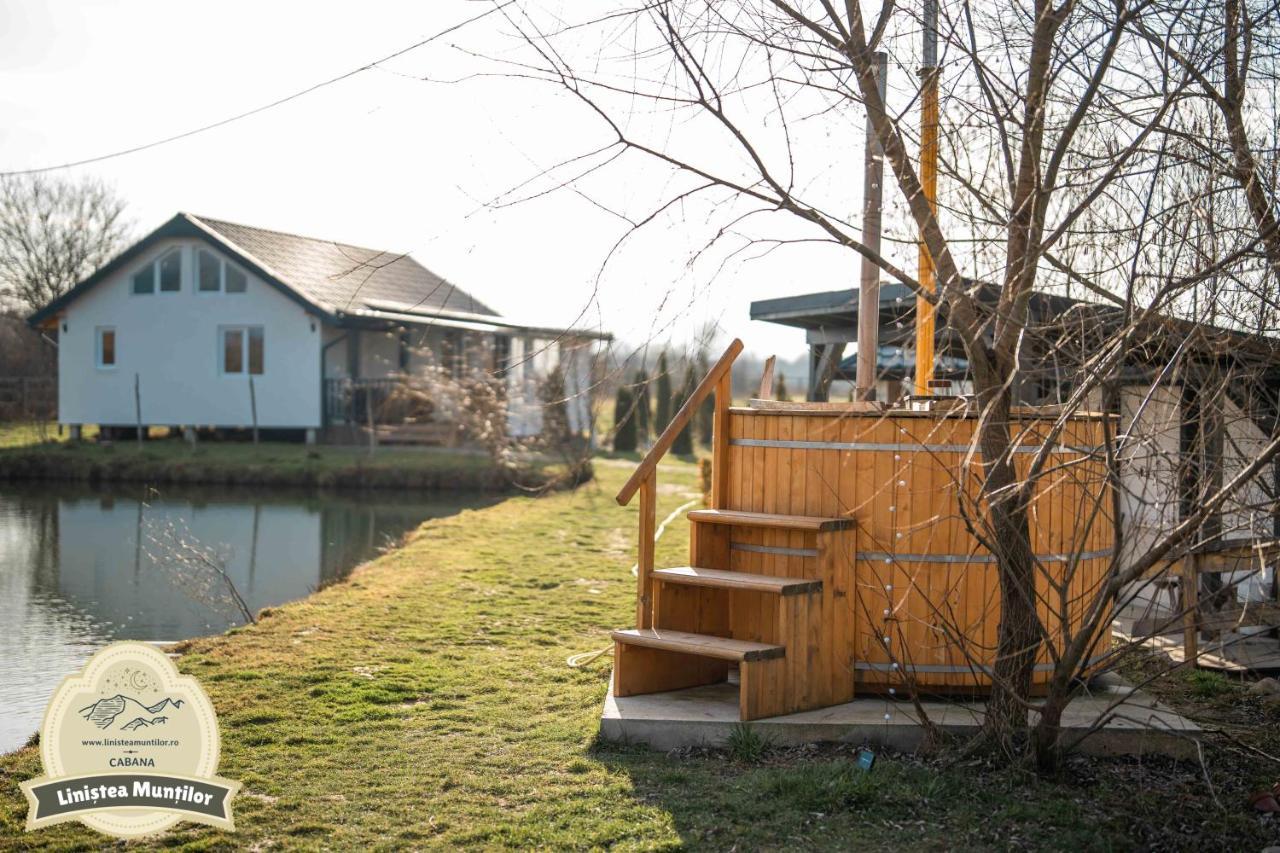 Linistea Muntilor Chalet Felsőporumbák Kültér fotó