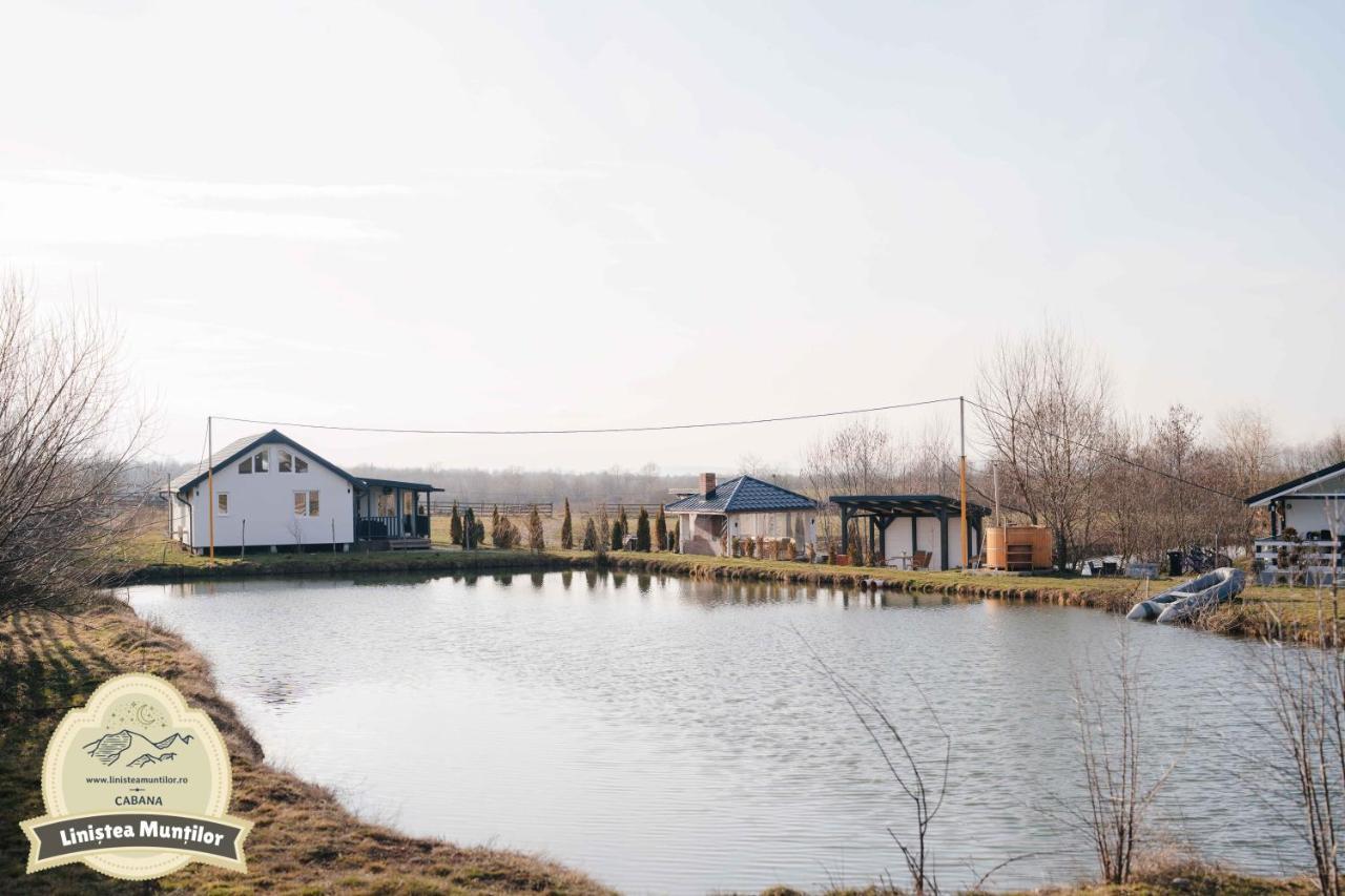 Linistea Muntilor Chalet Felsőporumbák Kültér fotó