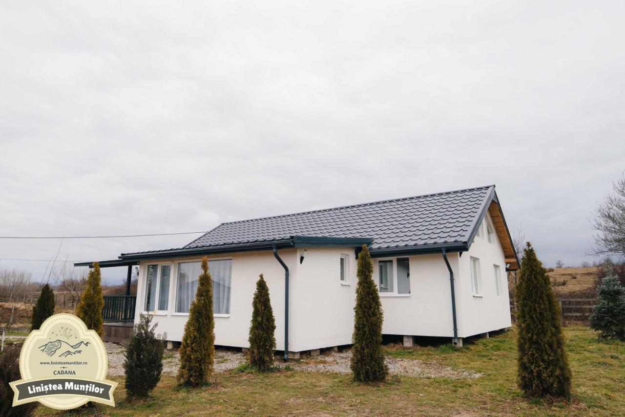 Linistea Muntilor Chalet Felsőporumbák Kültér fotó