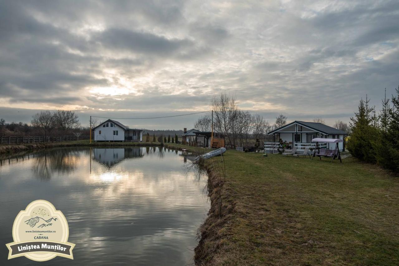 Linistea Muntilor Chalet Felsőporumbák Kültér fotó