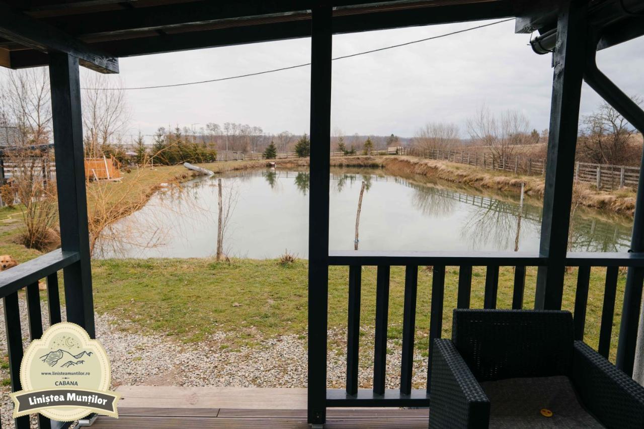 Linistea Muntilor Chalet Felsőporumbák Kültér fotó