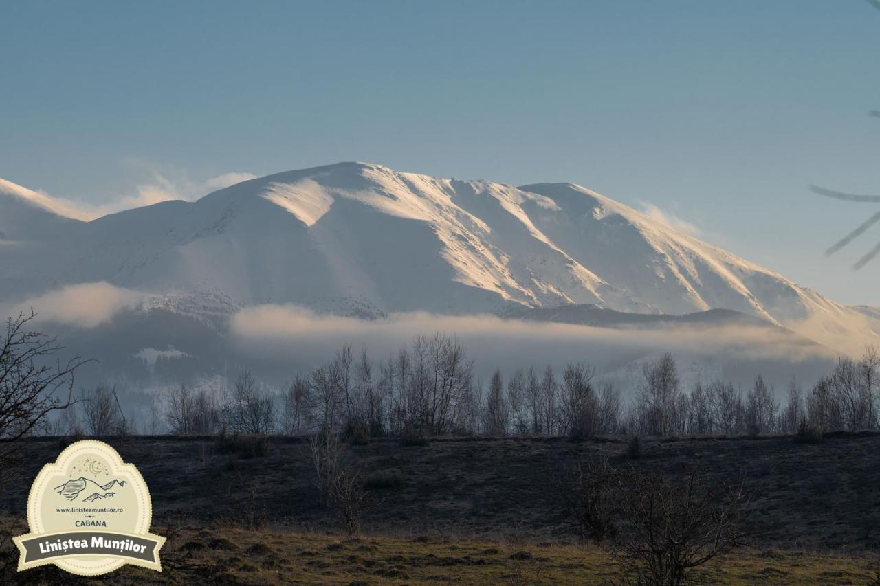 Linistea Muntilor Chalet Felsőporumbák Kültér fotó