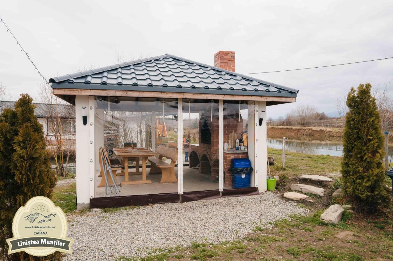 Linistea Muntilor Chalet Felsőporumbák Kültér fotó