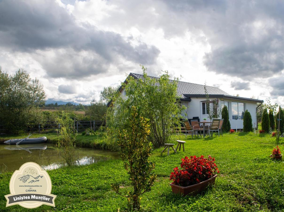 Linistea Muntilor Chalet Felsőporumbák Kültér fotó