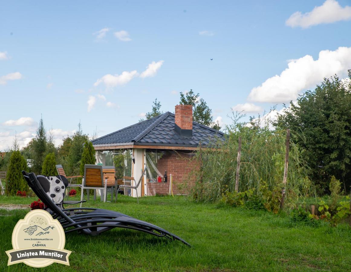 Linistea Muntilor Chalet Felsőporumbák Kültér fotó