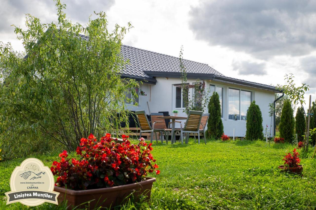 Linistea Muntilor Chalet Felsőporumbák Kültér fotó