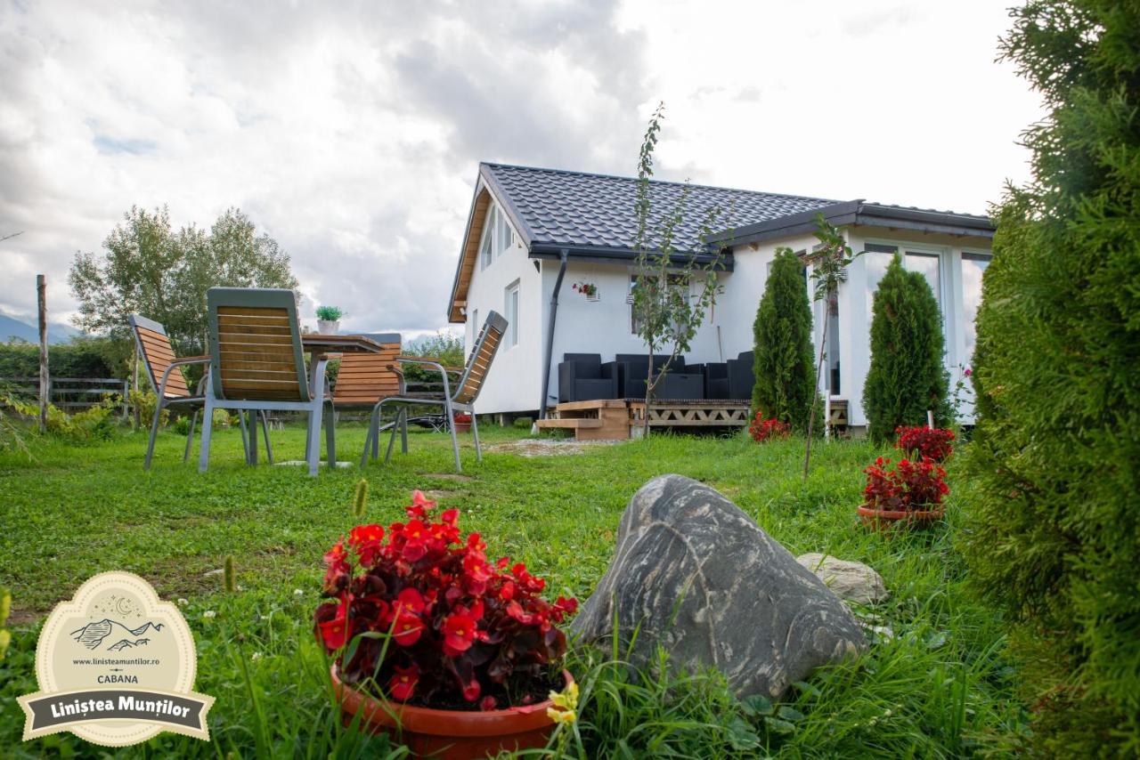 Linistea Muntilor Chalet Felsőporumbák Kültér fotó